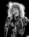 Picture of Tina Turner