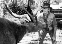 Crocodile Dundee classic Paul Hogan scene with water buffalo 5x7 inch photo