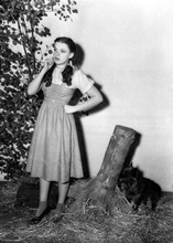 Judy Garland on set pose with dog Toto Wizard of Oz 5x7 inch photo