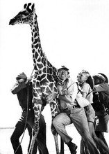 Hatari movie 1962 5x7 inch photo John Wayne Hardy Kruger holding giraffe on rope