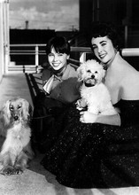 Elizabeth Taylor Leslie Caron on MGM lot in 1950's with their dogs 5x7 photo