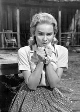 Diane McBain 1961 Claudelle Inglish sitting outside cabin 5x7 inch photo