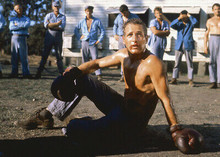 Paul Newman barechested boxing scene Cool Hand Luke 5x7 inch real press photo