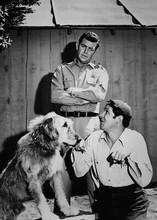 The Andy Griffith Show 5x7 inch real photo Andy Jim Nabors and dog 5x7 inch phot