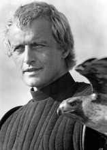 Rutger Hauer poses with hawk for 1984 Ladyhawke movie 5x7 inch photo