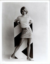 Angie Dickinson original 8x10 real photograph circa 1967 full body in mini skirt