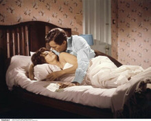 Arabesque 1966 Gregory Peck Sophia Loren romantic bedroom scene 8x10 photo