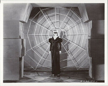Carol Forman 8x10 photo in front of spiderweb from Superman movie serial