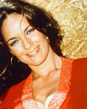 Catherine Bach busty pose in red top by bale of straw Dukes of Hazzard 8x10