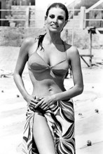 Raquel Welch smiling bikini pose 1967 The Biggest Bundle of Them All 8x12 photo