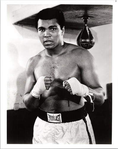 Muhammad Ali legendary boxing pose ready for action 8x12 inch photo ...