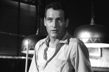 Paul Newman as Fast Eddie The Hustler in pool hall with cue 8x12 inch real photo