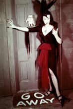 Vampira Maila Nurmi 8x12 inch real glossy photograph full length by creepy house