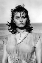 Sophia Loren Boy on a Dolphin sexy pose in wet shirt 8x12 inch real photo