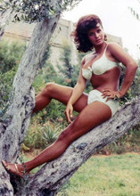 Senta Berger sexy busty in green bikini posing on a tree branch 5x7 inch photo