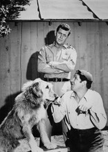 Andy Griffith Show Andy Jim Nabors train dog 5x7 inch photo