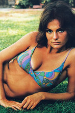 Jacqueline Bisset vintage 4x6 inch real photo #3488