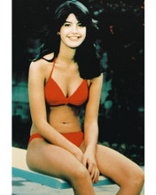 Phoebe Cates vintage 4x6 inch real photo #3694