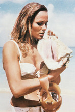 Ursula Andress 4x6 inch real photo #31466