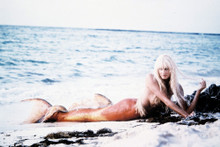 Daryl Hannah vintage 4x6 inch real photo #32210