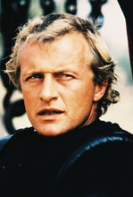 Rutger Hauer vintage 4x6 inch real photo #33178