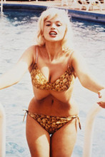 Jayne Mansfield vintage 4x6 inch real photo #36796