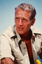 Paul Newman vintage 4x6 inch real photo #312896