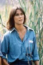 Kate Jackson vintage 4x6 inch real photo #319342