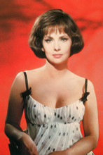 Gina Lollobrigida vintage 4x6 inch real photo #320365