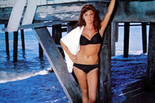 Jacqueline Bisset vintage 4x6 inch real photo #324662