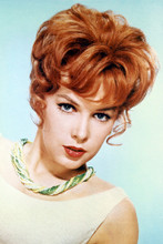 Stella Stevens vintage 4x6 inch real photo #326061