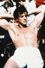 Sylvester Stallone vintage 4x6 inch real photo #333219