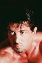 Sylvester Stallone vintage 4x6 inch real photo #345101