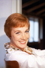 Julie Andrews vintage 4x6 inch real photo #346781