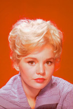Tuesday Weld 4x6 inch real photo #347138