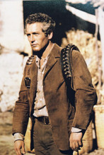 Paul Newman vintage 4x6 inch real photo #348936