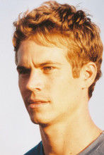 Paul Walker vintage 4x6 inch real photo #351809