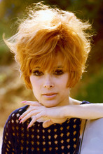 Jill St. John vintage 4x6 inch real photo #352591