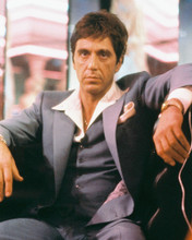 Al Pacino vintage 4x6 inch real photo #354844