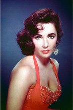 Elizabeth Taylor vintage 4x6 inch real photo #361420