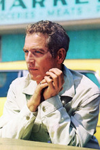 Paul Newman vintage 4x6 inch real photo #362936