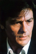 Alain Delon vintage 4x6 inch real photo #363010