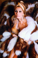 Sophia Loren vintage 4x6 inch real photo #363036