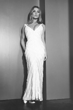 Sharon Tate vintage 4x6 inch real photo #448795