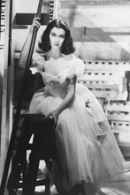 Vivien Leigh 4x6 inch real photo #448824