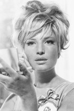 Monica Vitti vintage 4x6 inch real photo #449613