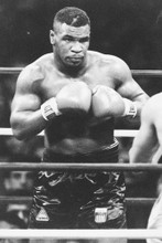 Mike Tyson vintage 4x6 inch real photo #450019