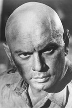 Yul Brynner 4x6 inch real photo #451869