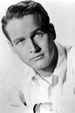 Paul Newman vintage 4x6 inch real photo #453865