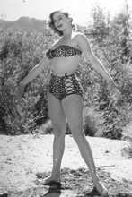 Anita Ekberg vintage 4x6 inch real photo #454032